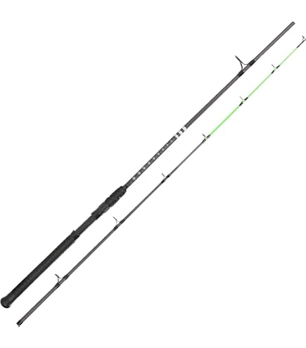 Amazon.com : Daiwa BW9234-AX Black Widow EXT Carp, 9 Feet 2.75lb
